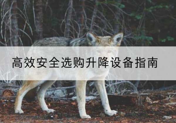 长武升降货梯厂家推荐-*安全选购升降设备指南