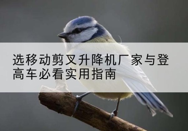 长武电动升降机厂家-选移动剪叉升降机厂家与登高车必看实用指南