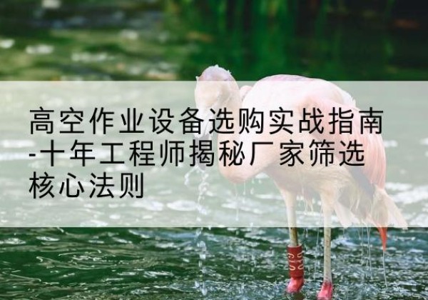 长武剪叉式升降机厂家-高空作业设备选购实战指南-十年工程师揭秘厂家筛选核心法则